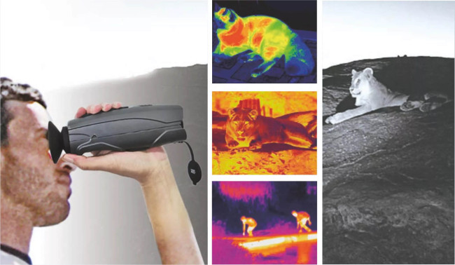 Тепловизионный монокуляр CEM T-72 в Красноярске Тепловизионный монокуляр CEM T-72 в Красноярске