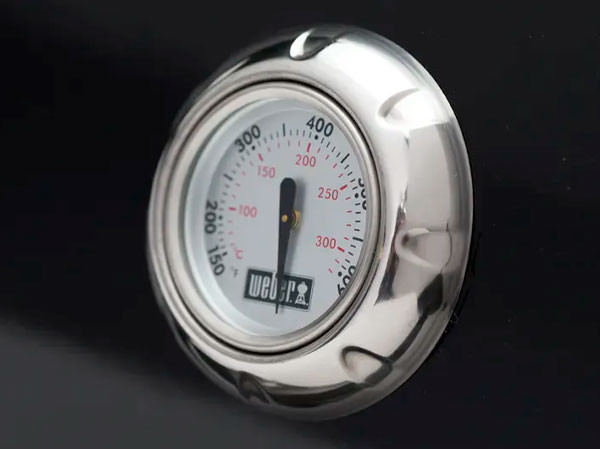 Газовый гриль WEBER Spirit E-325 GBS в Красноярске