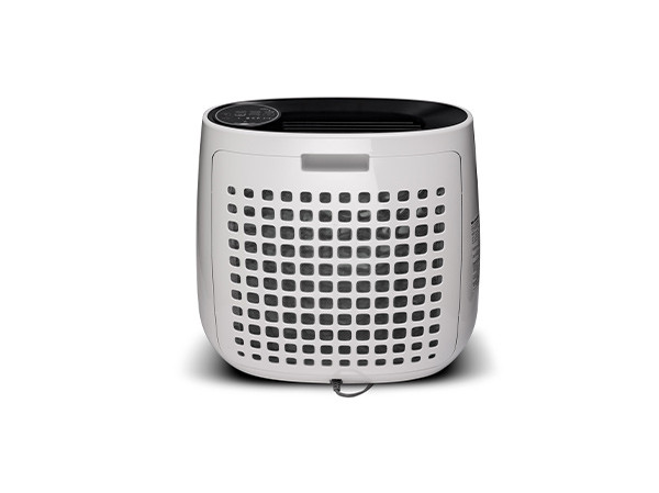 Очиститель воздуха FPJ31RB в Красноярске