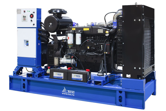 Дизельный генератор ТСС АД-200С-Т400-2РМ5 ПРОФ в Красноярске