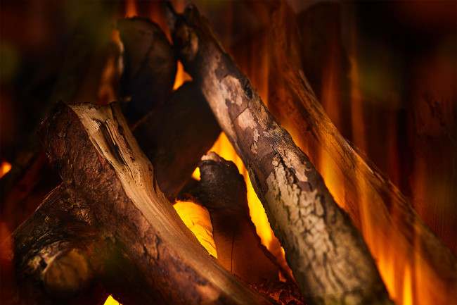 New Forest 1600 with Deluxe Real logs в Красноярске