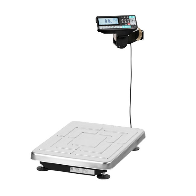 Весы ТВ-S-200.2-RP1 в Красноярске