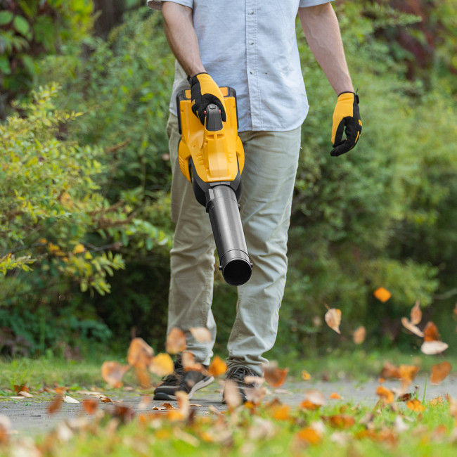 Воздуходувка аккумуляторная RB180-36, Li-ion, 36 В, 4 Ач, 180 км/ч, 820 м3/ч Denzel в Красноярске Воздуходувка аккумуляторная RB180-36, Li-ion, 36 В, 4 Ач, 180 км/ч, 820 м3/ч Denzel в Красноярске