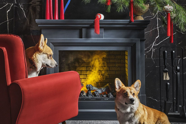 Портал Dimplex Coventry - Белый в Красноярске